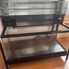 60センチ水槽　2段　標準とLOWの画像