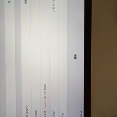 iPad Pro 11インチ256GB（第4世代）中古品　他3点セットの画像