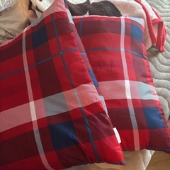 新品未使用まくら2点&シングルディズニー毛布の画像