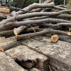 薪木細枝の画像