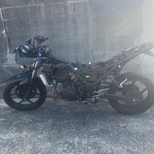 Kawasaki ninja250r　