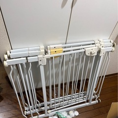 (27日まで)
スチールゲートx3(説明書3つ付き)の画像