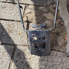 希少　　マグザムリアキャリアの画像