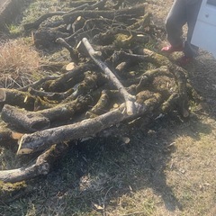 薪ストーブ用の薪材欲しい方