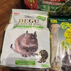 デグーセットの画像