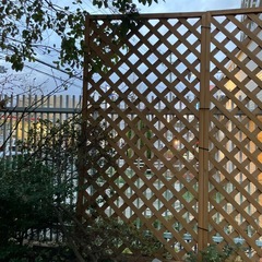 ラティス　2セットの画像