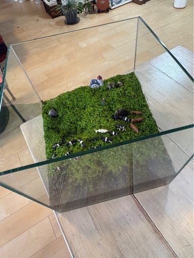 牧場のパルダリウム　