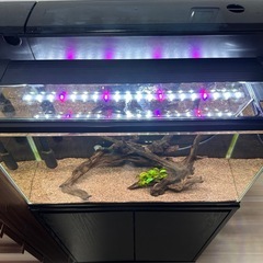 60センチ水槽セットの画像