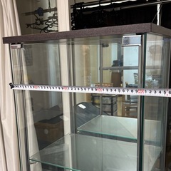 フィギアけーすケースの画像