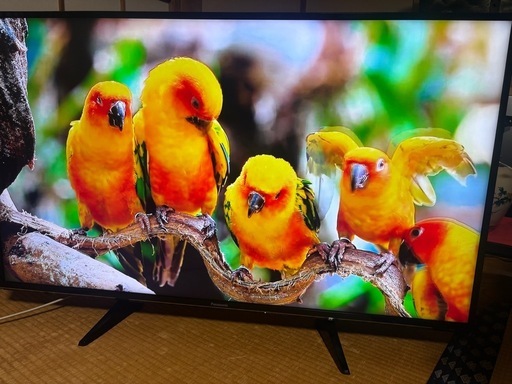 パナソニック 49V型 4K 液晶テレビ VIERA TH-49EX600美品