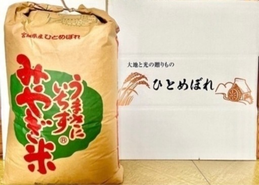 【まとめ買い値引き可】R7年 宮城県産 ひとめぼれ 30kg 玄米