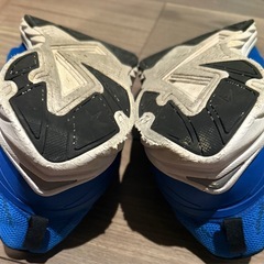 俊足　24.5センチの画像