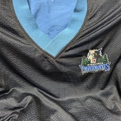 【手渡し限定】90s Champion ティンバーウルブズ 旧ロゴ プルオーバー XL相当
の画像