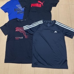 150 男の子　夏物の画像