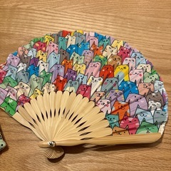 猫のセンスの画像