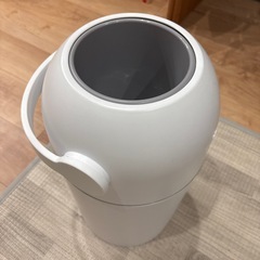 pigeon  suteruの画像