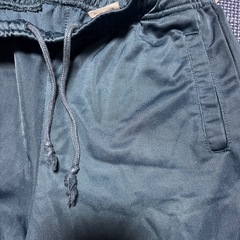 champion半ズボンの画像