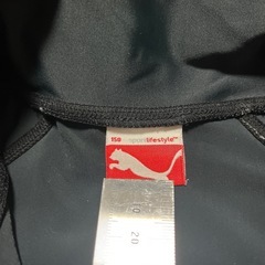 puma 水着の画像