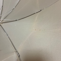 傘です。の画像