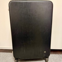 ACE   ハント キャリーケースの画像