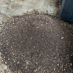 2/23限定②園芸培養土5.5kgの画像