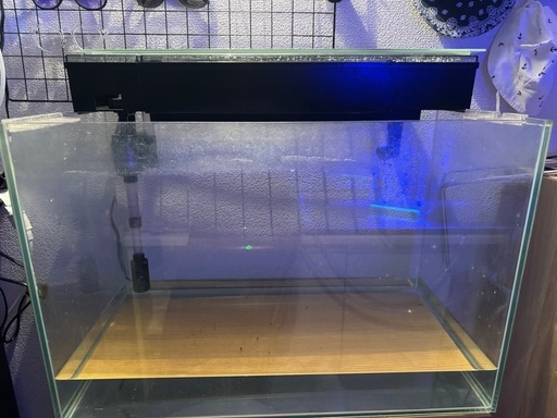 60cm水槽‼️