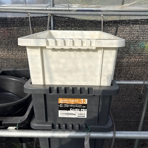 メダカ引退品