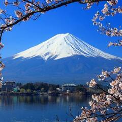 Need help in Japan? I support…