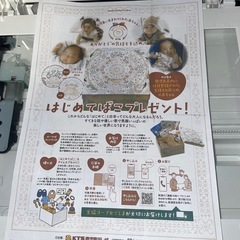 CanonカラープリンターTS3130S印刷枚数極少の画像