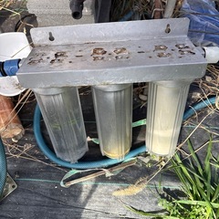 メダカ引退品の画像