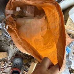 「本日」コンパネ（10枚＋端）＋お礼を差し上げます。（最後までお読みください）の画像