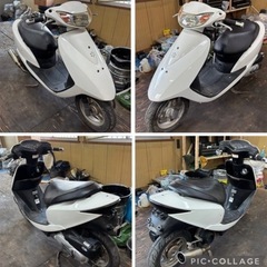 HONDA AF62車体の画像