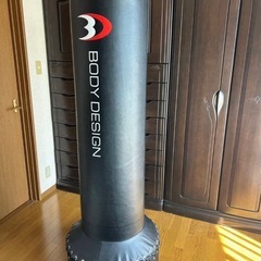 ボディデザイン サンドバッグ の画像