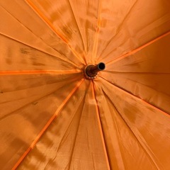 大人用傘の画像