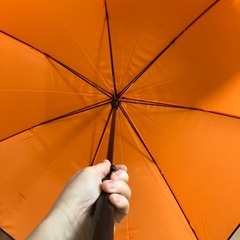 大人用傘の画像