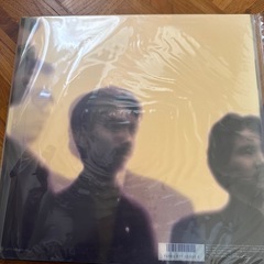 安全地帯　Vの画像