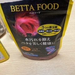 最終値下げ　2/23（月）まで　さかなを飼う容器の画像