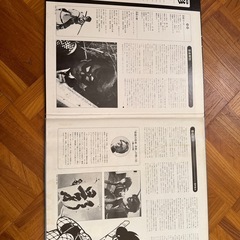 仮面の忍者赤影レコードの画像