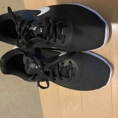 ランニングシューズ(ナイキ)の画像