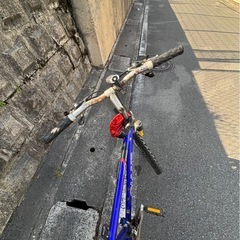 26インチ GIANTの画像