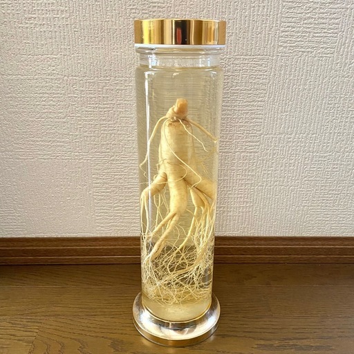高麗人参酒　朝鮮人参酒　 観賞用　置き物　