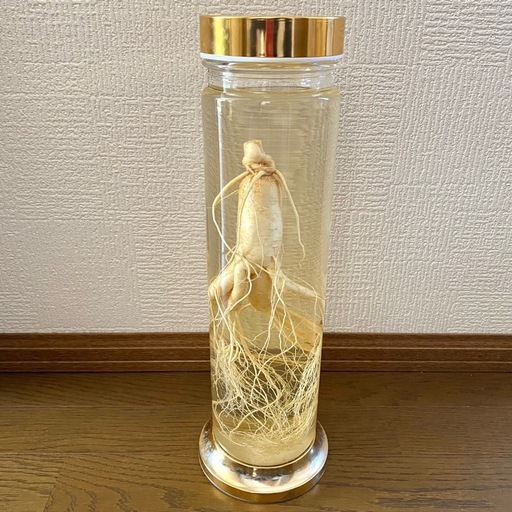 高麗人参酒　朝鮮人参酒　 観賞用　置き物　