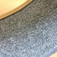 ペット用回転ホイールの画像