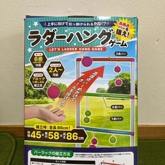 ラダーハングゲームの画像