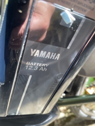 YAMAHAのPAS Natura
