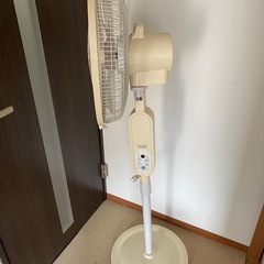 値段交渉受け付けます足長い扇風機の画像