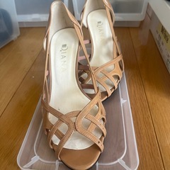 ダイアナの靴2足の画像