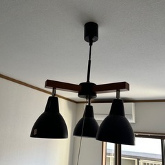 本日19時頃に受け取りに来れる方の画像