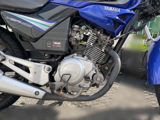 バイク YAMAHA YBR125