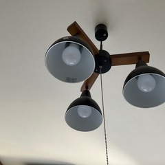 本日19時頃に受け取りに来れる方の画像